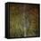The Gilded Larch-Doug Chinnery-Framed Stretched Canvas