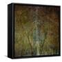 The Gilded Larch-Doug Chinnery-Framed Stretched Canvas