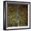 The Gilded Larch-Doug Chinnery-Framed Premium Giclee Print