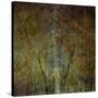 The Gilded Larch-Doug Chinnery-Stretched Canvas