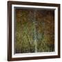 The Gilded Larch-Doug Chinnery-Framed Giclee Print