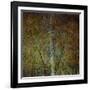 The Gilded Larch-Doug Chinnery-Framed Giclee Print