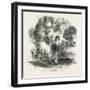 The Gipsy Child, 1860-null-Framed Giclee Print