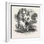 The Gipsy Child, 1860-null-Framed Giclee Print