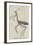 The Giraffe Cricket-null-Framed Giclee Print