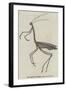 The Giraffe Cricket-null-Framed Giclee Print
