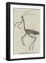 The Giraffe Cricket-null-Framed Giclee Print