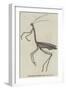 The Giraffe Cricket-null-Framed Giclee Print