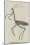 The Giraffe Cricket-null-Mounted Giclee Print