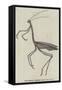 The Giraffe Cricket-null-Framed Stretched Canvas