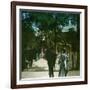 The Giraffe in the Jardin D'Acclimation, Paris (XVIth Arrondissement), Circa 1895-Leon, Levy et Fils-Framed Photographic Print