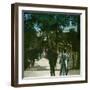 The Giraffe in the Jardin D'Acclimation, Paris (XVIth Arrondissement), Circa 1895-Leon, Levy et Fils-Framed Photographic Print