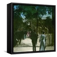 The Giraffe in the Jardin D'Acclimation, Paris (XVIth Arrondissement), Circa 1895-Leon, Levy et Fils-Framed Stretched Canvas