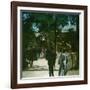 The Giraffe in the Jardin D'Acclimation, Paris (XVIth Arrondissement), Circa 1895-Leon, Levy et Fils-Framed Photographic Print