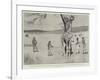 The Giraffe Presented to the Queen by King Khama on its Native Soil before the Voyage to England-Cecil Aldin-Framed Giclee Print