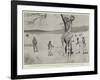 The Giraffe Presented to the Queen by King Khama on its Native Soil before the Voyage to England-Cecil Aldin-Framed Giclee Print