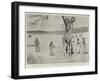 The Giraffe Presented to the Queen by King Khama on its Native Soil before the Voyage to England-Cecil Aldin-Framed Giclee Print