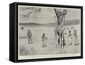 The Giraffe Presented to the Queen by King Khama on its Native Soil before the Voyage to England-Cecil Aldin-Framed Stretched Canvas