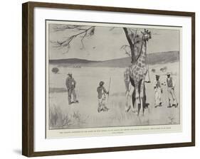 The Giraffe Presented to the Queen by King Khama on its Native Soil before the Voyage to England-Cecil Aldin-Framed Giclee Print