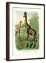 The Giraffe-null-Framed Art Print