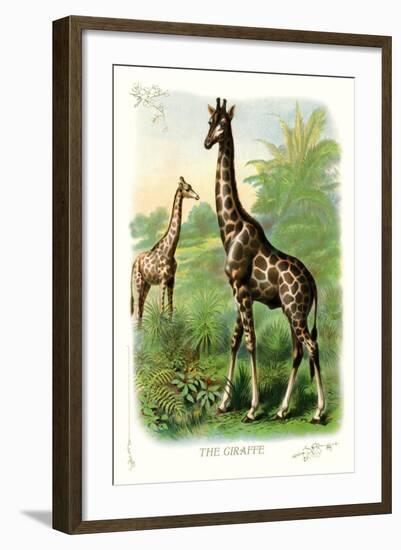 The Giraffe-null-Framed Art Print