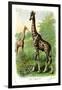 The Giraffe-null-Framed Art Print