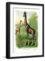 The Giraffe-null-Framed Art Print