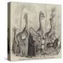 The Giraffes, and their Nubian Attendants, at the Surrey Zoological Gardens-null-Stretched Canvas