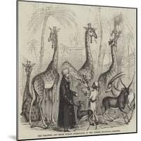 The Giraffes, and their Nubian Attendants, at the Surrey Zoological Gardens-null-Mounted Giclee Print