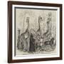 The Giraffes, and their Nubian Attendants, at the Surrey Zoological Gardens-null-Framed Giclee Print