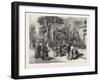 The Giraffes in the Jardin D'Acclimatation, Paris, France, 1876-null-Framed Giclee Print