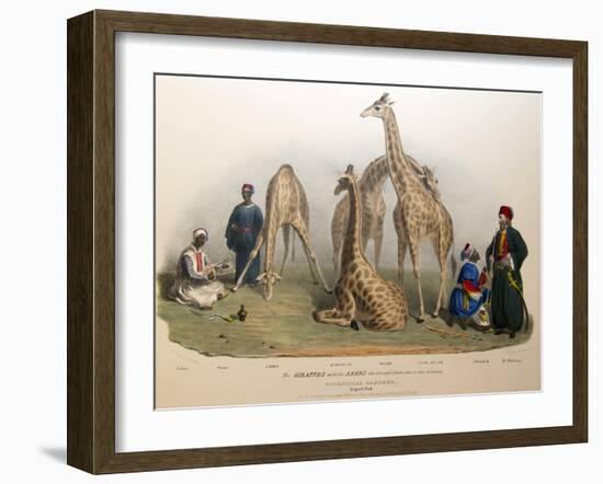 The Giraffes with the Arabs, 1836-George The Elder Scharf-Framed Premium Giclee Print