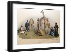 The Giraffes with the Arabs, 1836-George The Elder Scharf-Framed Premium Giclee Print