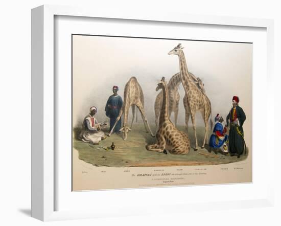 The Giraffes with the Arabs, 1836-George The Elder Scharf-Framed Premium Giclee Print