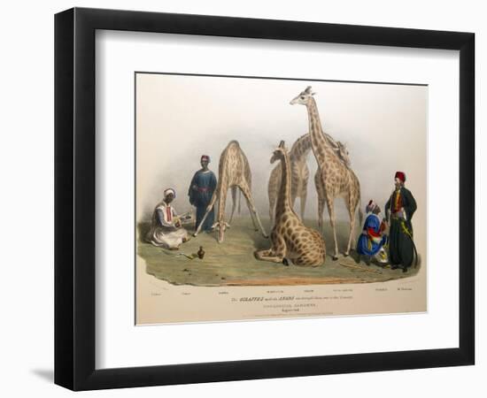 The Giraffes with the Arabs, 1836-George The Elder Scharf-Framed Giclee Print