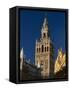 The Giralda, Sevilla, Spain-Duncan Maxwell-Framed Stretched Canvas