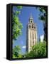 The Giralda, the Moorish Minaret and Observatory, Seville, Andalucia (Andalusia), Spain, Europe-James Emmerson-Framed Stretched Canvas