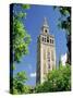 The Giralda, the Moorish Minaret and Observatory, Seville, Andalucia (Andalusia), Spain, Europe-James Emmerson-Stretched Canvas