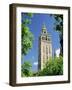 The Giralda, the Moorish Minaret and Observatory, Seville, Andalucia (Andalusia), Spain, Europe-James Emmerson-Framed Photographic Print