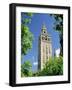 The Giralda, the Moorish Minaret and Observatory, Seville, Andalucia (Andalusia), Spain, Europe-James Emmerson-Framed Photographic Print