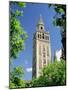 The Giralda, the Moorish Minaret and Observatory, Seville, Andalucia (Andalusia), Spain, Europe-James Emmerson-Mounted Photographic Print