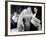 The Girl Can't Help It, Jayne Mansfield, Tom Ewell, 1956-null-Framed Photo