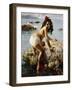 The Girl on the Rock-Vicenzo Irolli-Framed Giclee Print