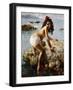 The Girl on the Rock-Vicenzo Irolli-Framed Giclee Print