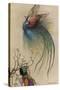 The Girl the Tree and the Bird of Paradise-Warwick Goble-Stretched Canvas