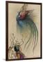 The Girl the Tree and the Bird of Paradise-Warwick Goble-Framed Photographic Print