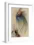 The Girl the Tree and the Bird of Paradise-Warwick Goble-Framed Photographic Print