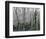 The Glade-Robert Moore-Framed Art Print