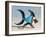 The Glass Fish, 2014,-Peter Jones-Framed Giclee Print