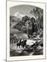The Glen, Newport-John Douglas Woodward-Mounted Giclee Print